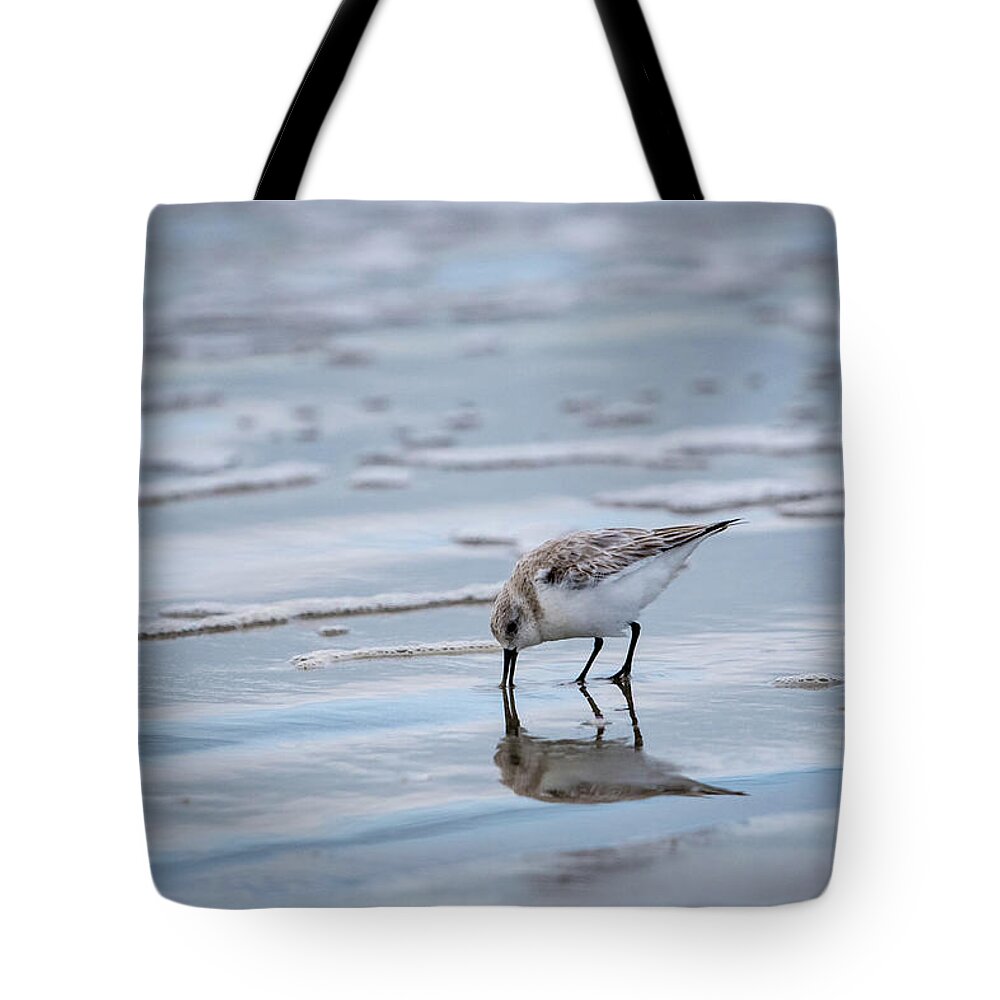 Bird Tote Bag featuring the photograph Sanderling Foraging by Jeff Phillippi