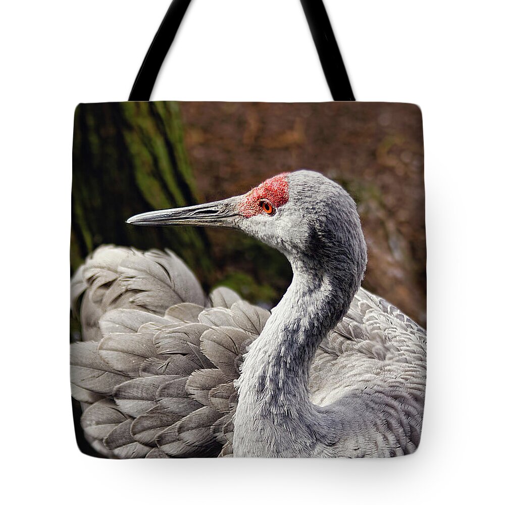 Animal Themes Tote Bag featuring the photograph Sandhill Crane by Melinda Moore