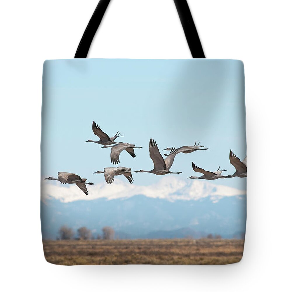 San Luis Valley Tote Bag featuring the photograph Sandhill Cranes Over Monte Vista by Skibreck