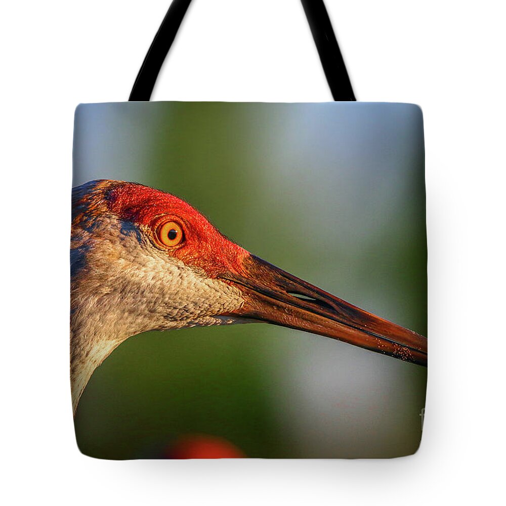 Crane Tote Bag featuring the photograph Sandhill Sunlight Portrait by Tom Claud
