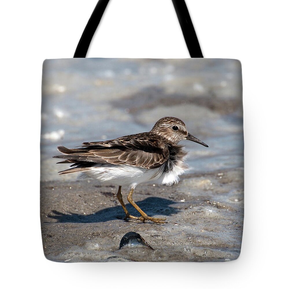 Sandpiper Tote Bag featuring the photograph Sandpiper at Tidal Pool by William Selander