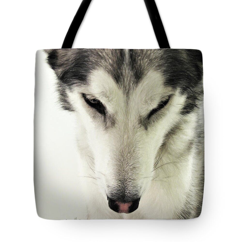 Dog Tote Bag featuring the digital art Sasha by Diane Chandler