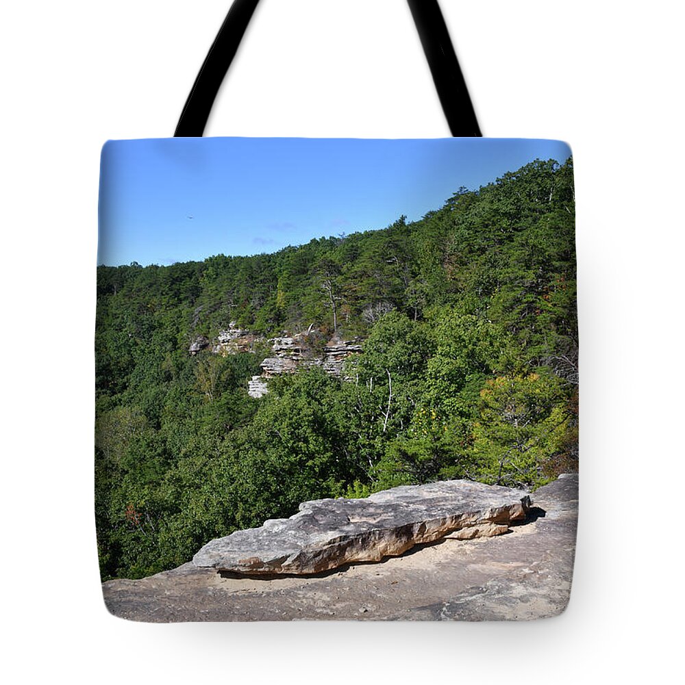 Savage Gulf Tote Bag featuring the photograph Savage Gulf 17 by Phil Perkins