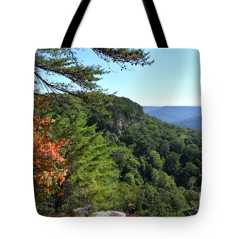 Savage Gulf Tote Bag featuring the photograph Savage Gulf 3 by Phil Perkins