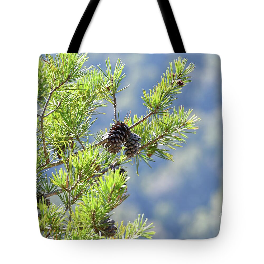 Savage Gulf Tote Bag featuring the photograph Savage Gulf 9 by Phil Perkins