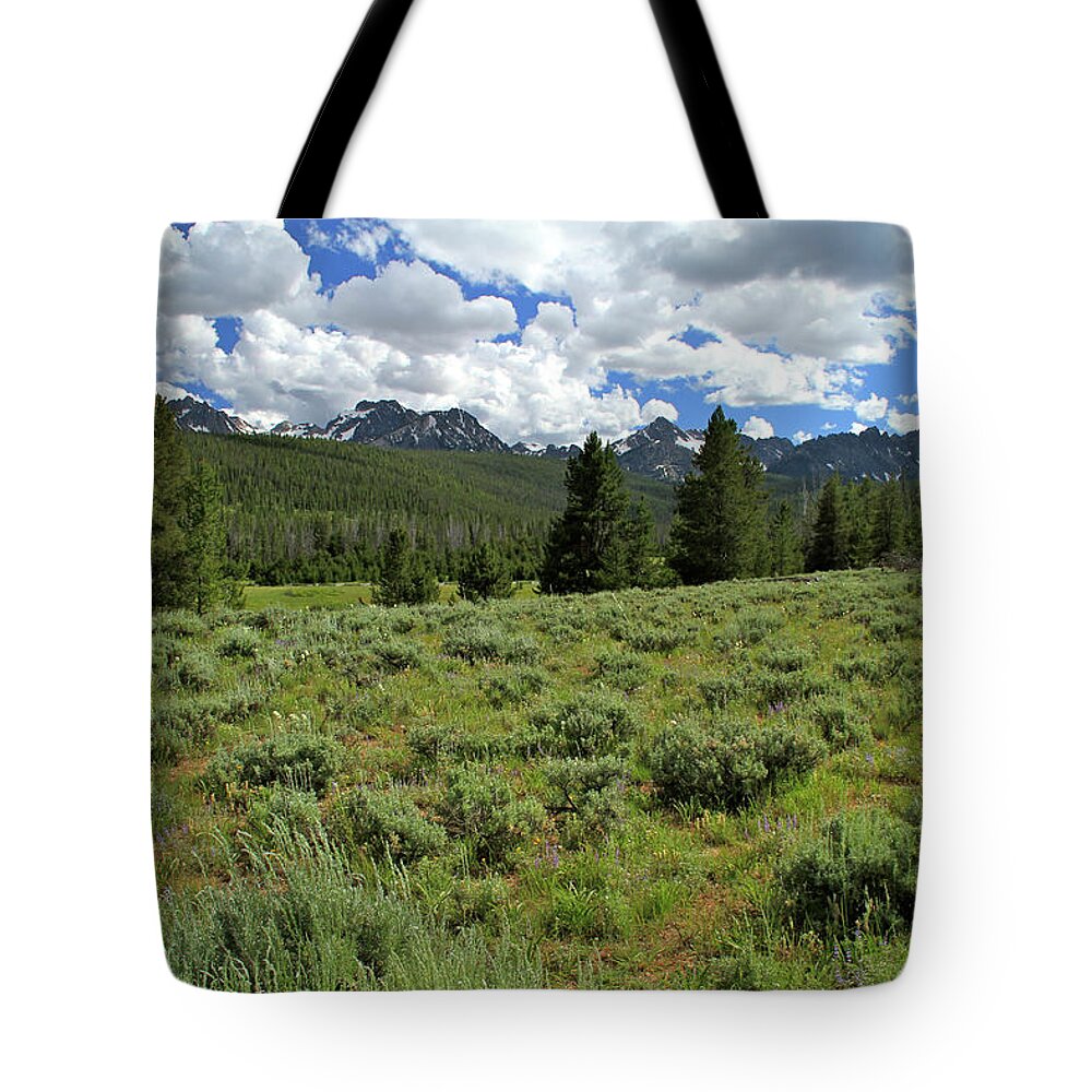 Sawtooth Range Tote Bag featuring the photograph Sawtooth Range Crooked Creek by Ed Riche
