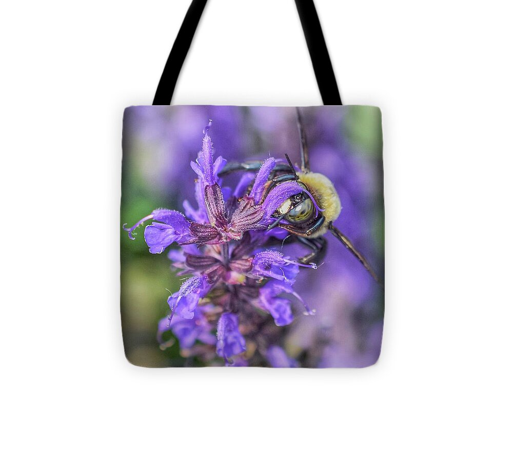 Bumblebee Tote Bag featuring the photograph Say Hello to My Little Friend by Shannon Kelly
