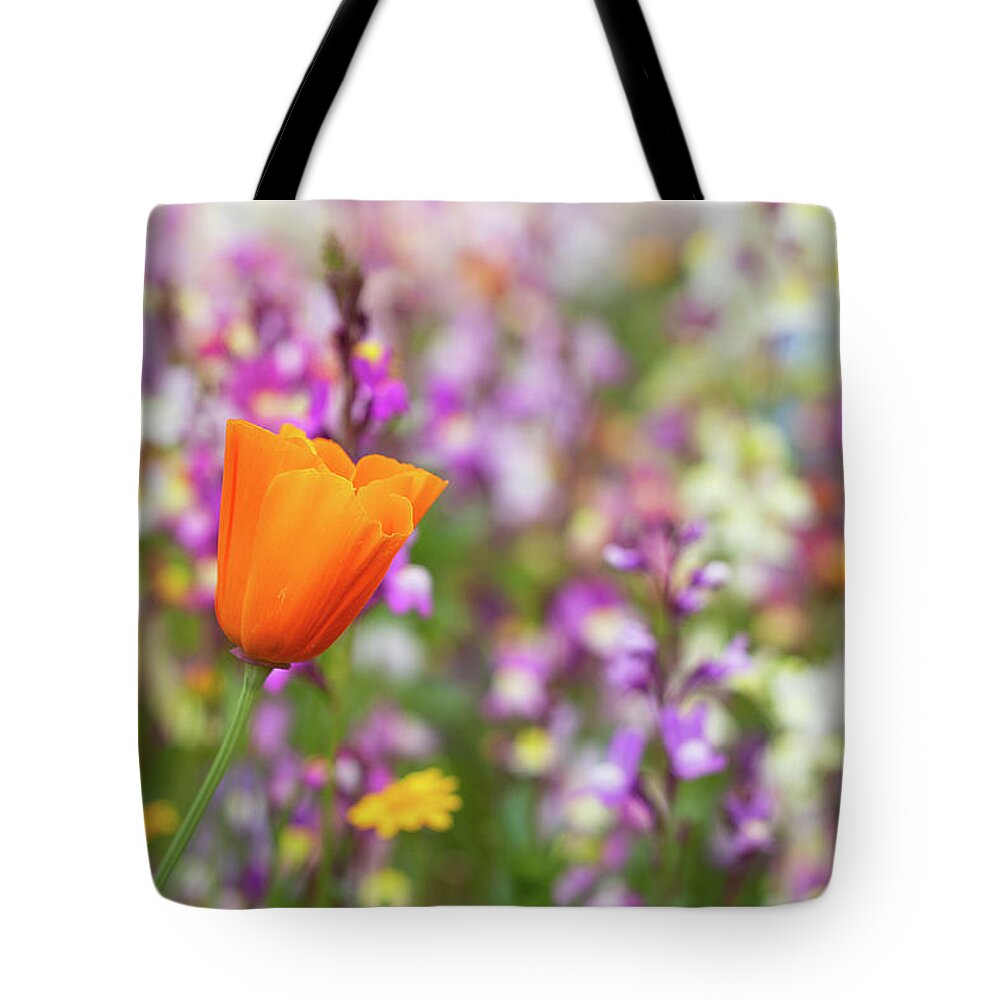 Poppy Tote Bag featuring the photograph Say it's Spring by Vanessa Thomas