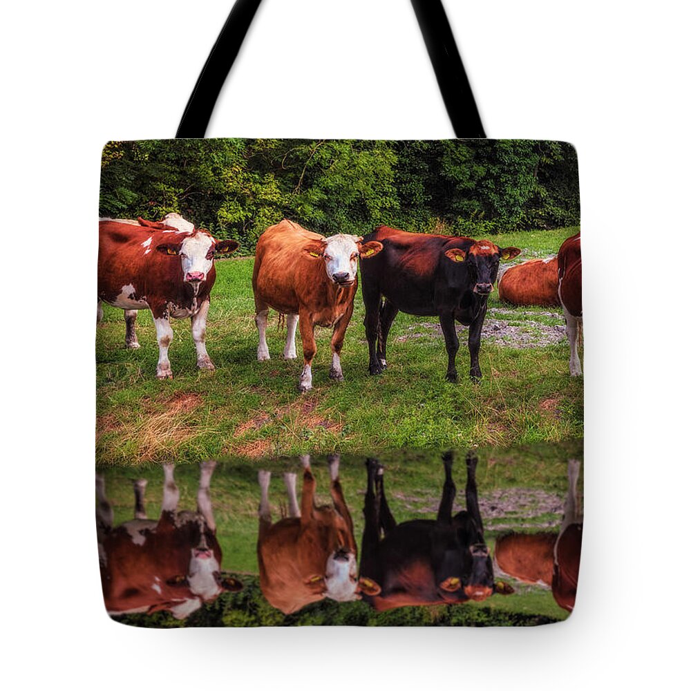 Animals Tote Bag featuring the photograph Saying Hello in the Morning Sun by Debra and Dave Vanderlaan