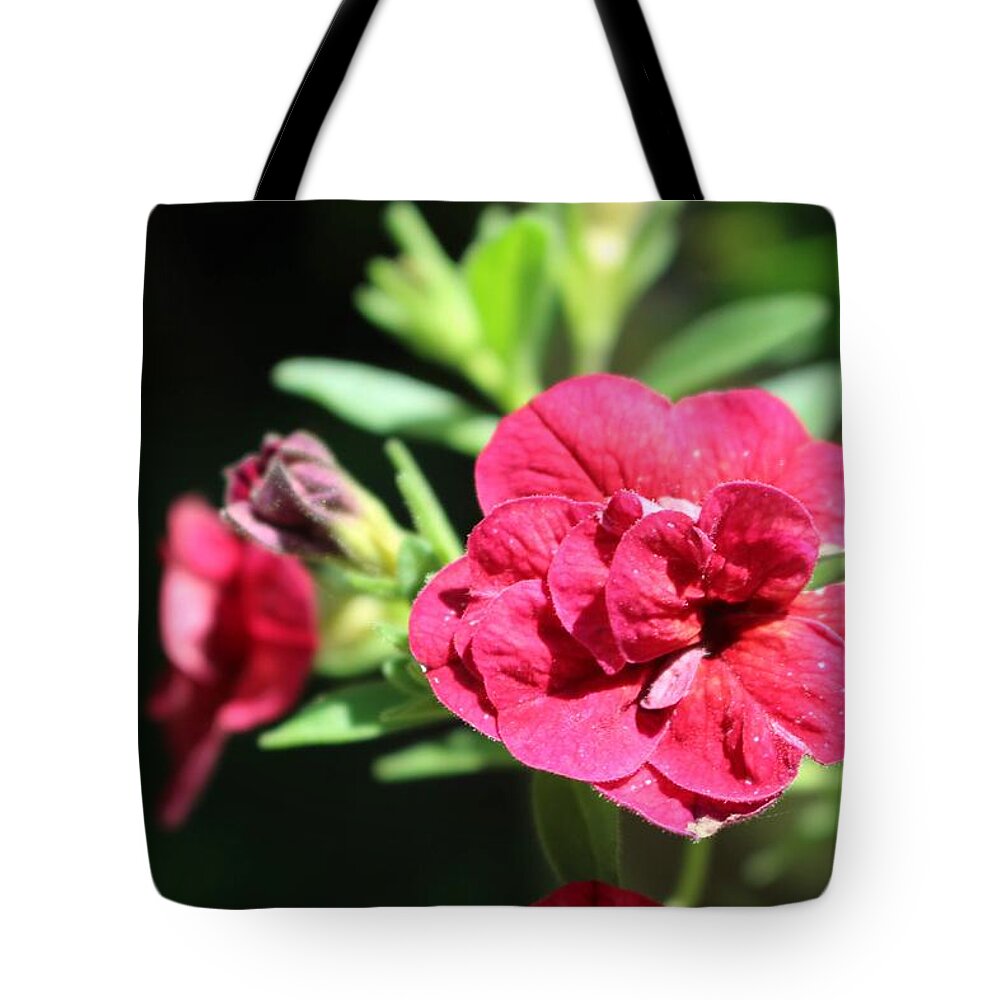 Geranium Tote Bag featuring the photograph Scarlet Geranium in Cape May by Christopher Lotito
