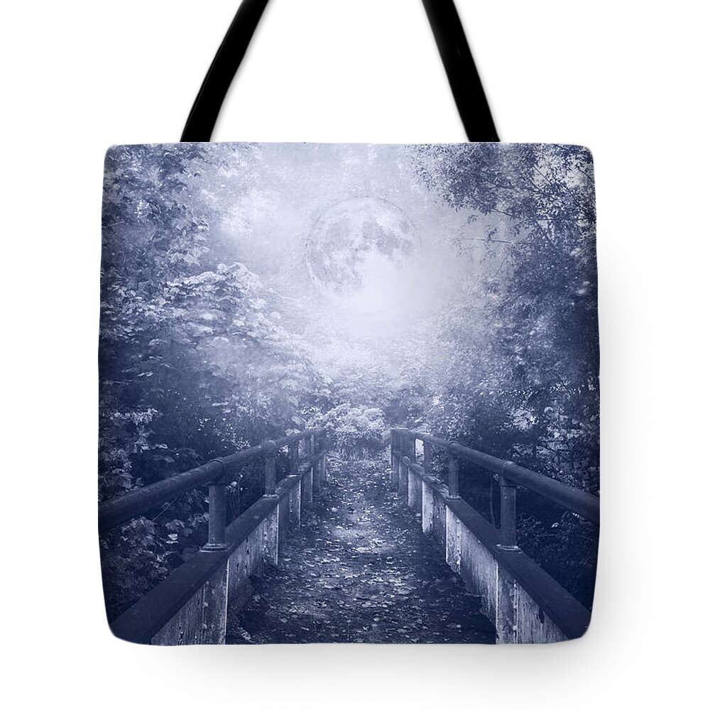Appalachia Tote Bag featuring the photograph Scattered Leaves on a Blue Night by Debra and Dave Vanderlaan