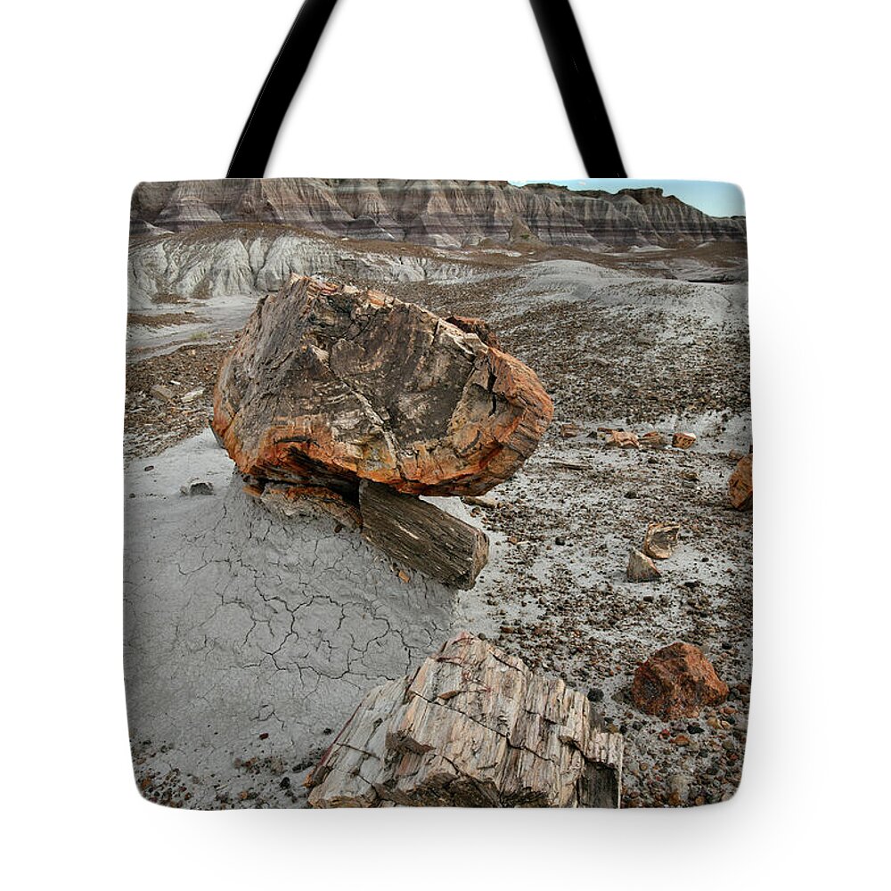 Petrified Forest National Park Tote Bag featuring the photograph Scenic Trail in Blue Mesa of Petrified Forest by Ray Mathis