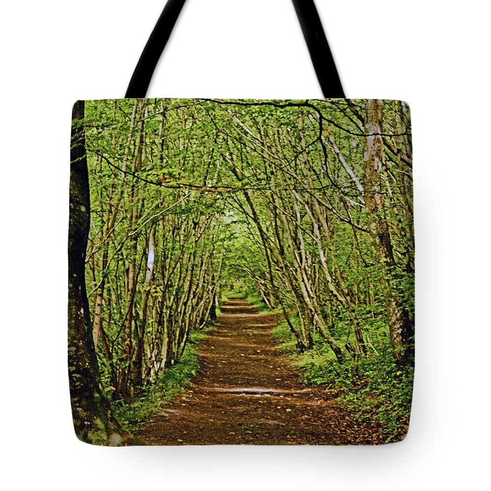 Scotland Tote Bag featuring the photograph SCOTLAND. Killiecrankie. Path Through The Trees. by Lachlan Main