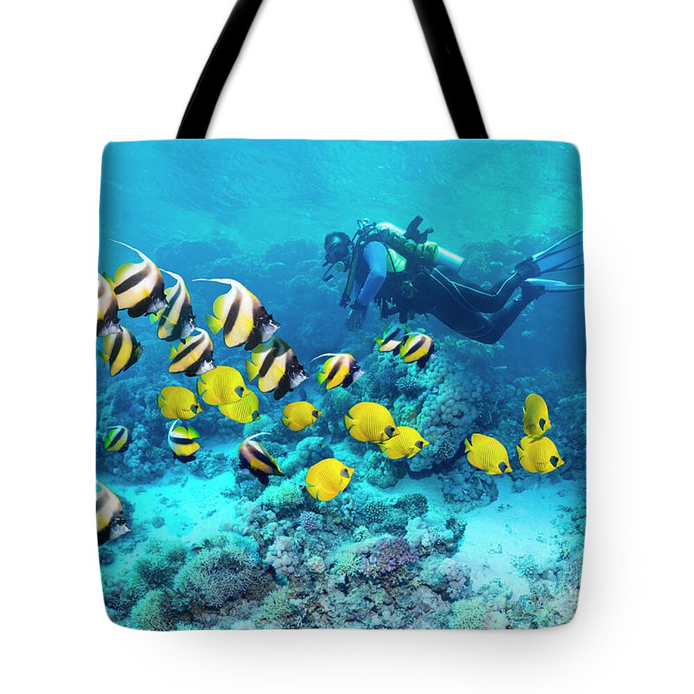 People Tote Bag featuring the photograph Scuba Diver With Coral Reef Fish by Georgette Douwma