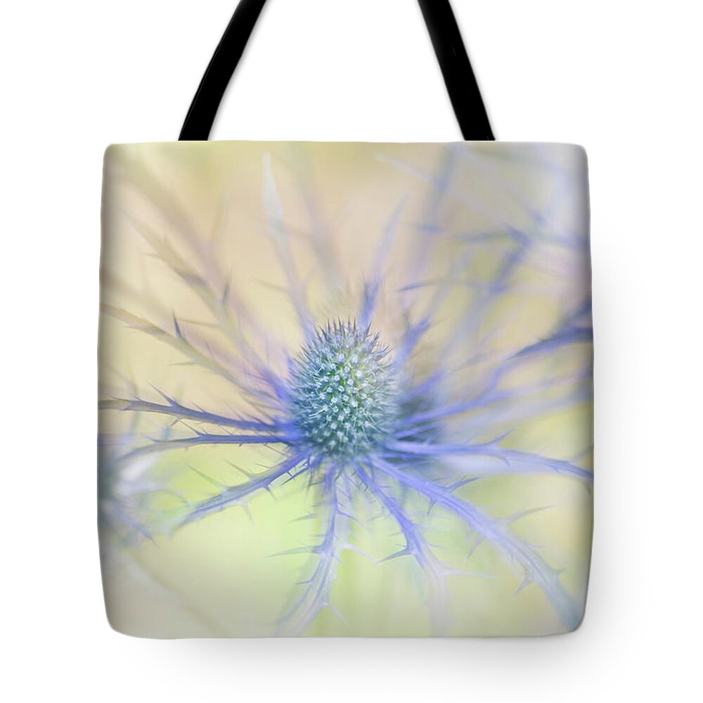 Sea Holly Tote Bag featuring the photograph Sea Holly Dance by Anita Nicholson