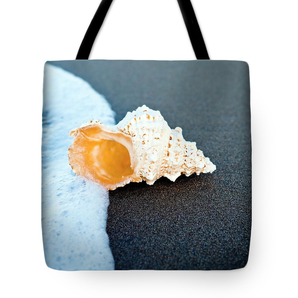 Water's Edge Tote Bag featuring the photograph Sea Shell On The Sand by Caracterdesign