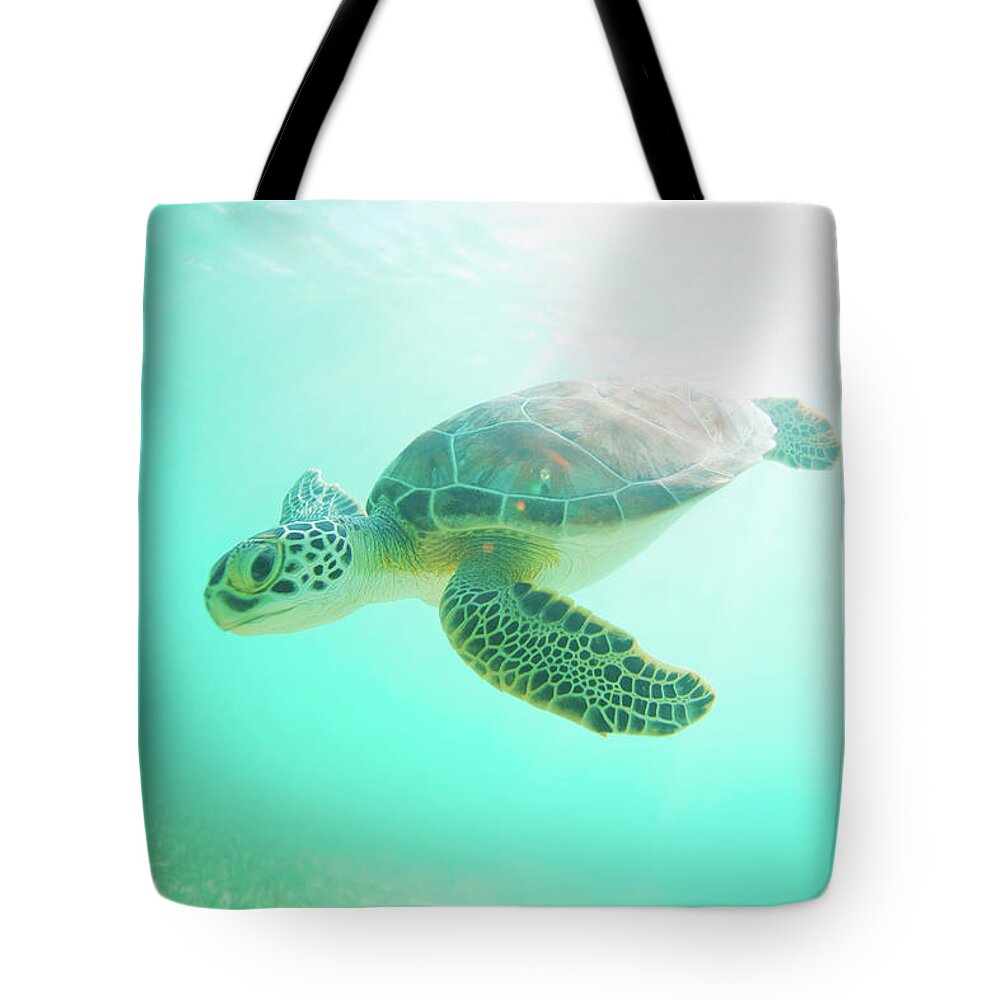 Underwater Tote Bag featuring the photograph Sea Turtle Baby by M Swiet Productions