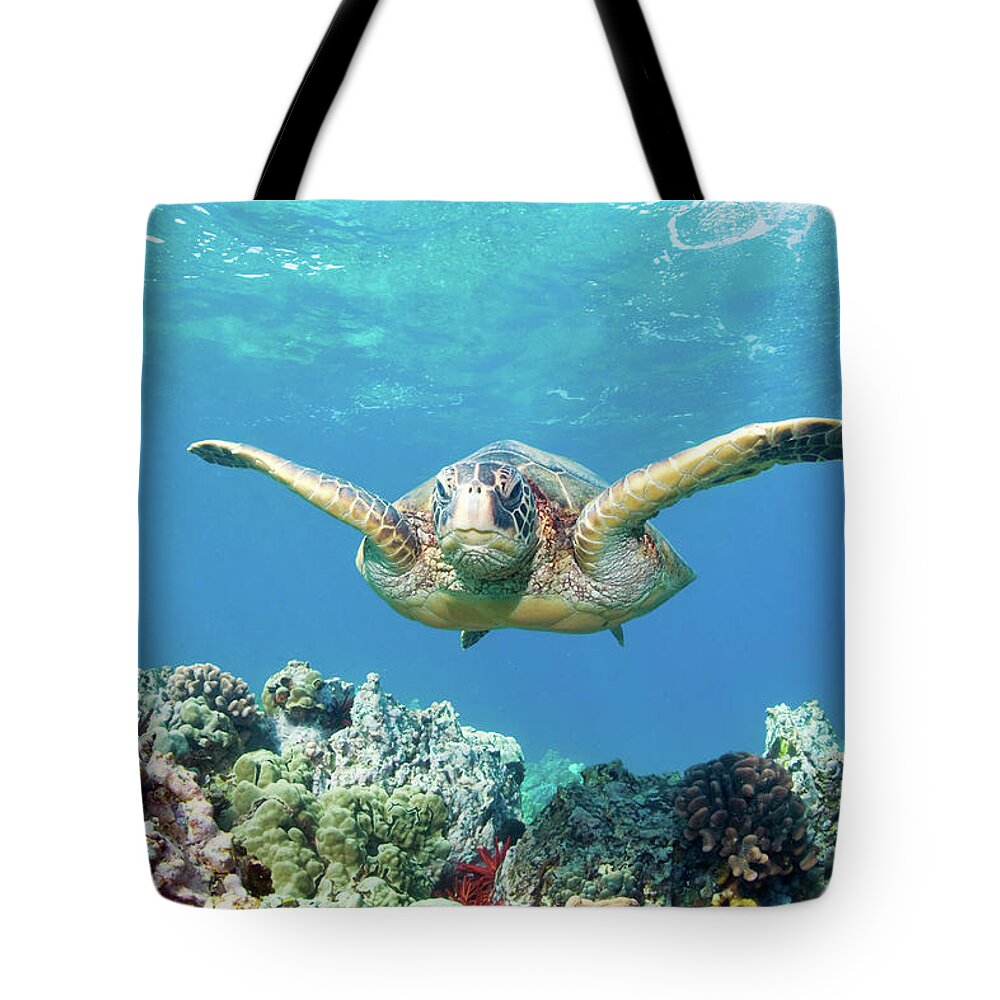 Underwater Tote Bag featuring the photograph Sea Turtle Maui by M.m. Sweet