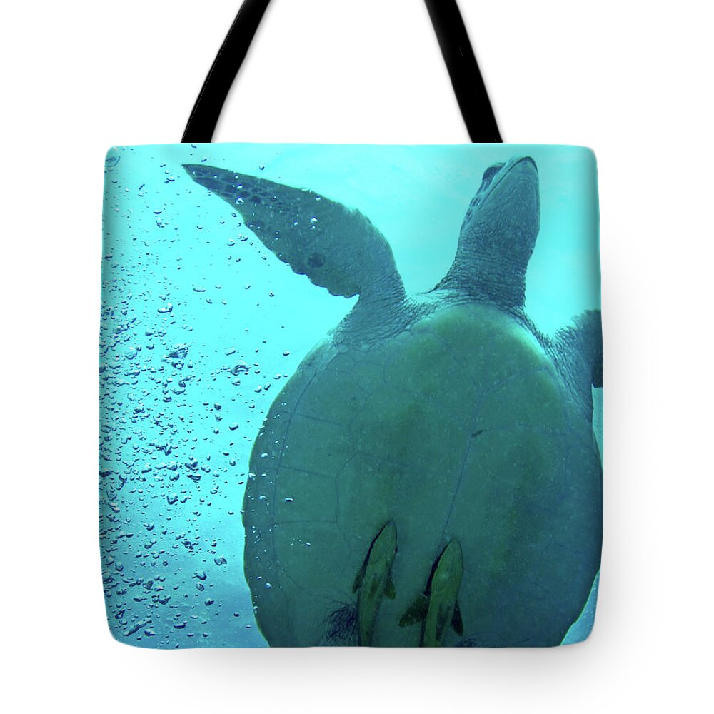 Sea Turtle Tote Bag featuring the photograph Sea Turtle Stowaways by Becqi Sherman