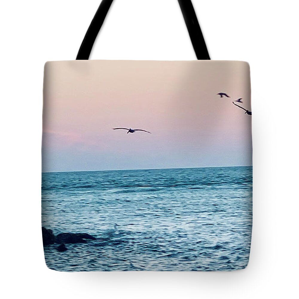 Birds Tote Bag featuring the photograph Seabirds Feeding at Sunset in Captiva Island Florida off the Jetty by Shelly Tschupp