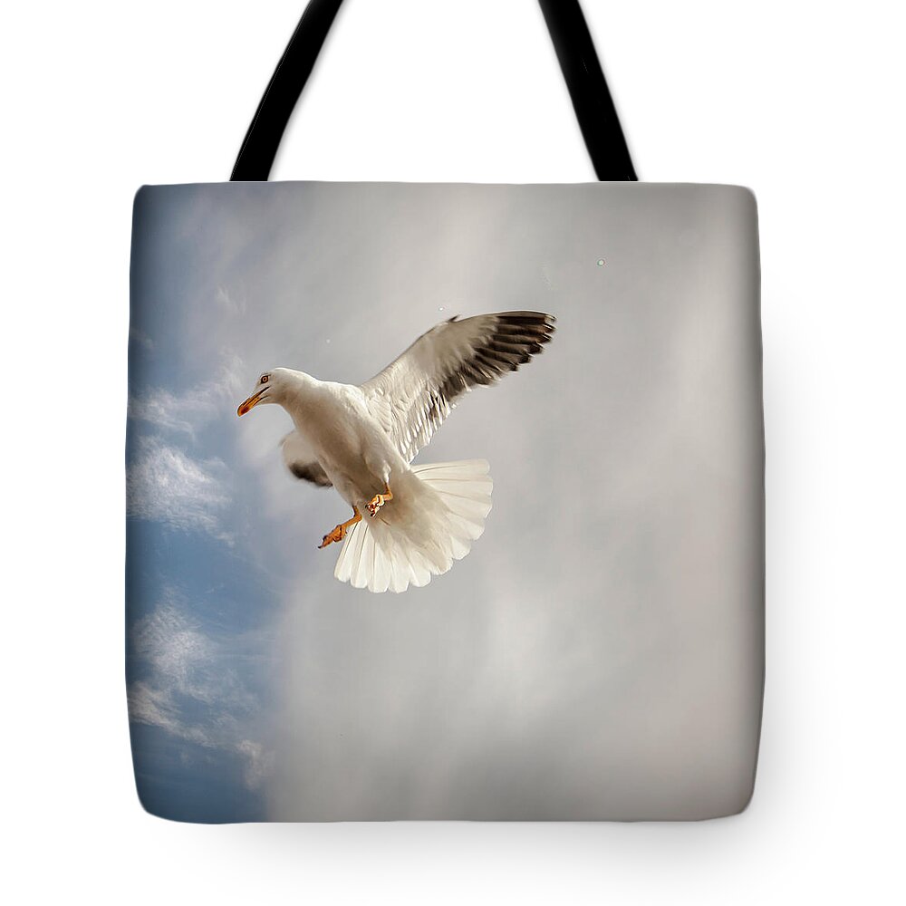 Animal Themes Tote Bag featuring the photograph Seagull by Johann S. Karlsson