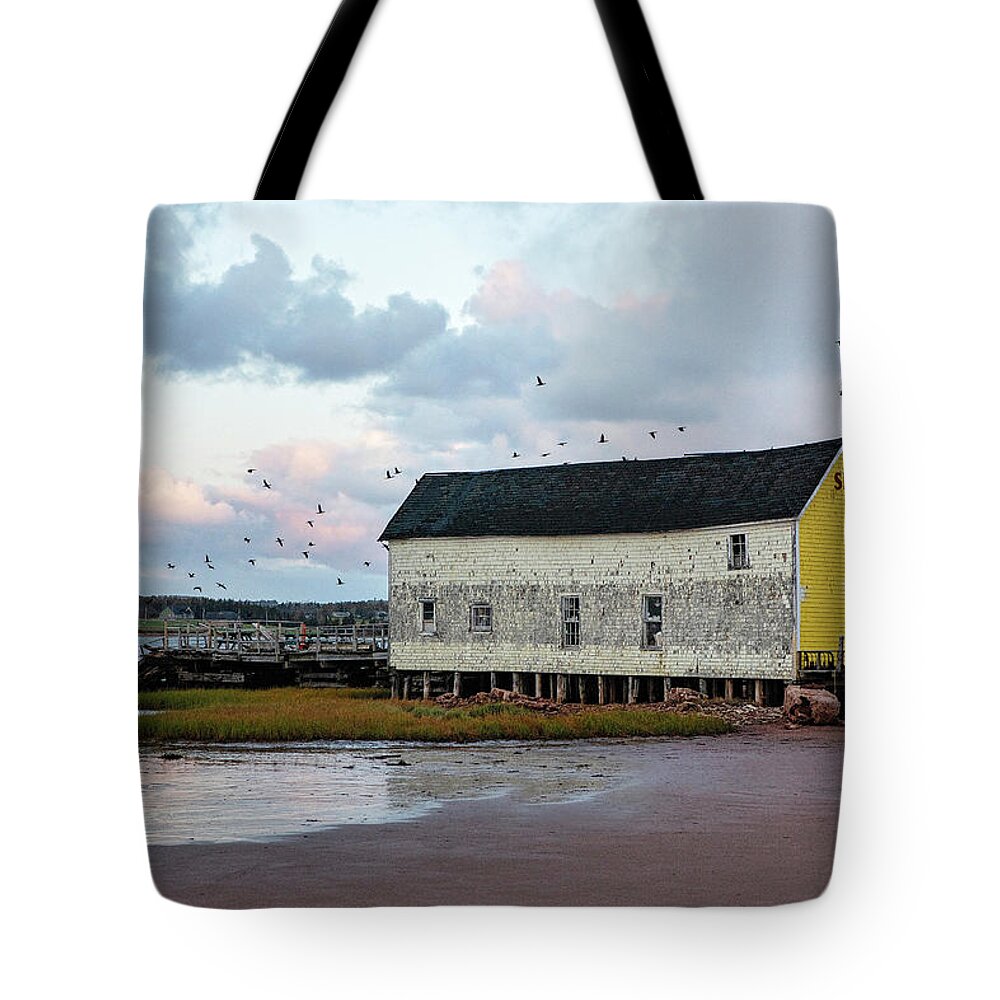 Prince Edward Island Tote Bag featuring the photograph Seagulls Nest by Deborah Penland