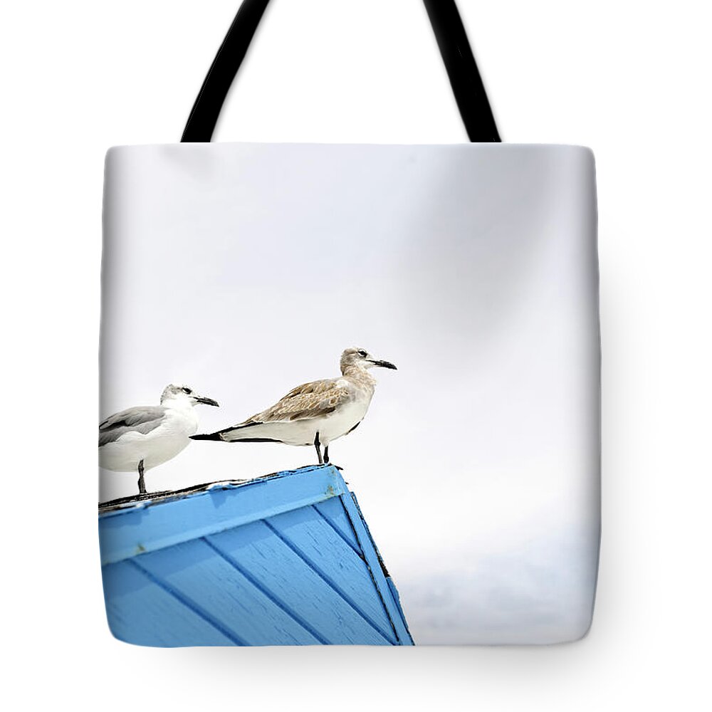 In A Row Tote Bag featuring the photograph Seagulls On Roof Of Kiosk by Axel Schmies