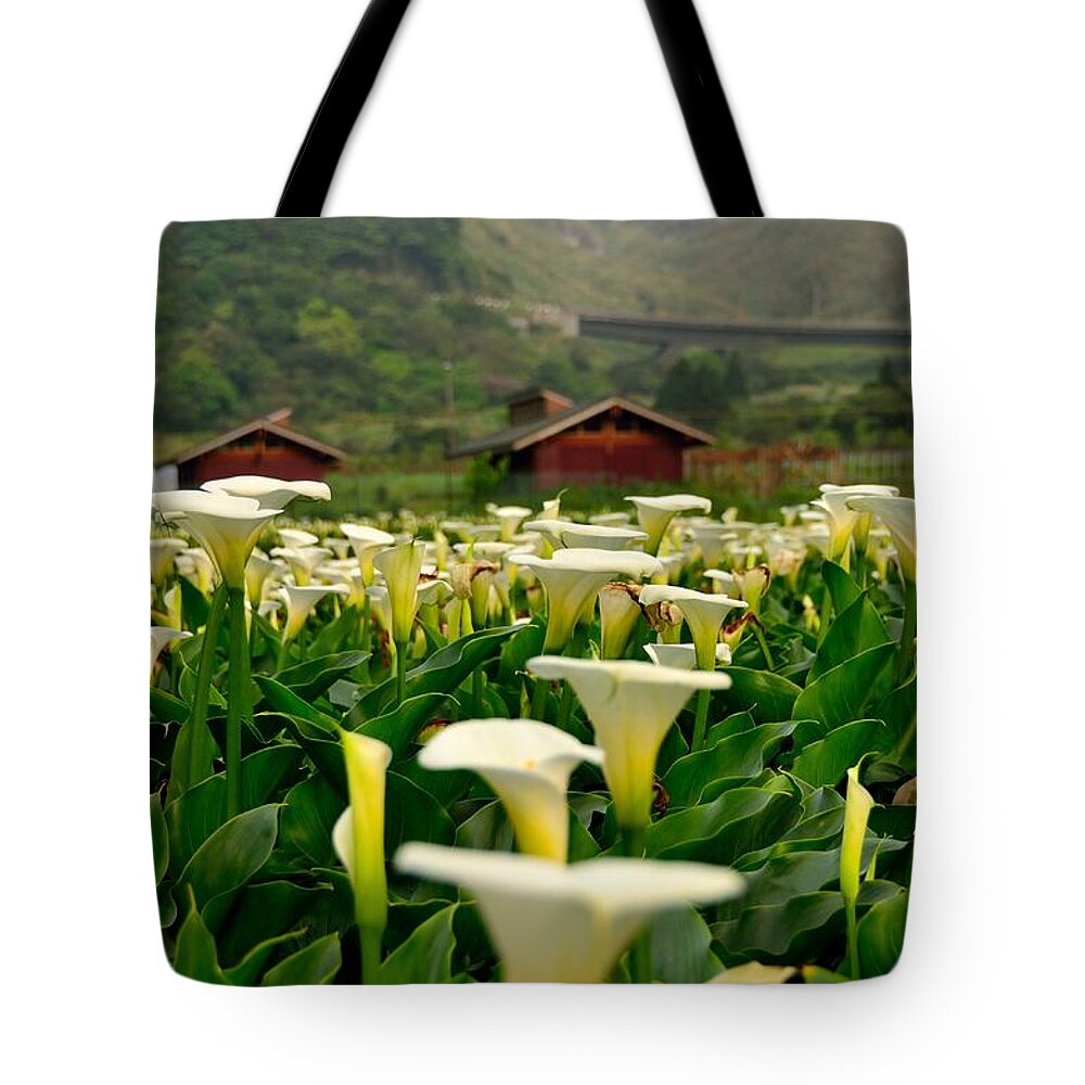 Tranquility Tote Bag featuring the photograph Seasons Of Calla Lilies~~ by Photo@stanley Hsu From Taiwan