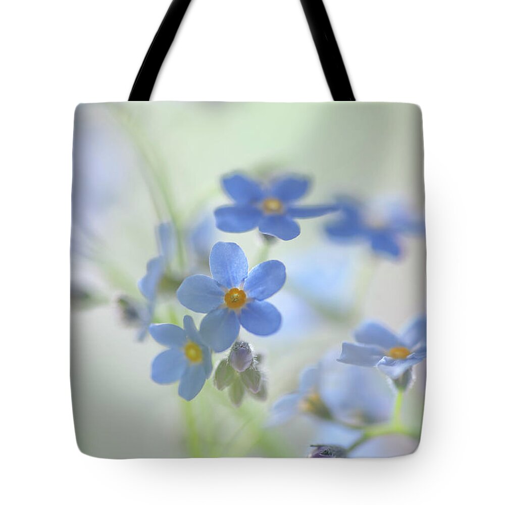 Jenny Rainbow Fine Art Photography Tote Bag featuring the photograph Secret Life of Flowers. Subtle Beauty of Forget-Me-Not 29 by Jenny Rainbow