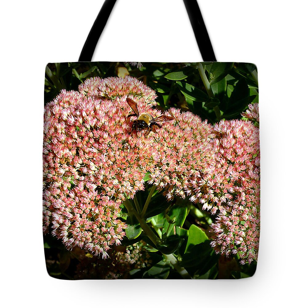Nature Tote Bag featuring the photograph Sedum and Bee 013 by Mike McBrayer