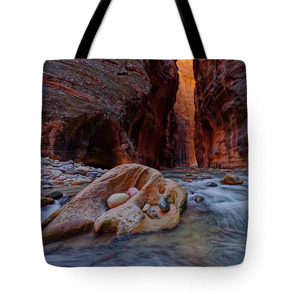 Zion Narrows Tote Bag featuring the photograph Seeing The Light by Jonathan Davison