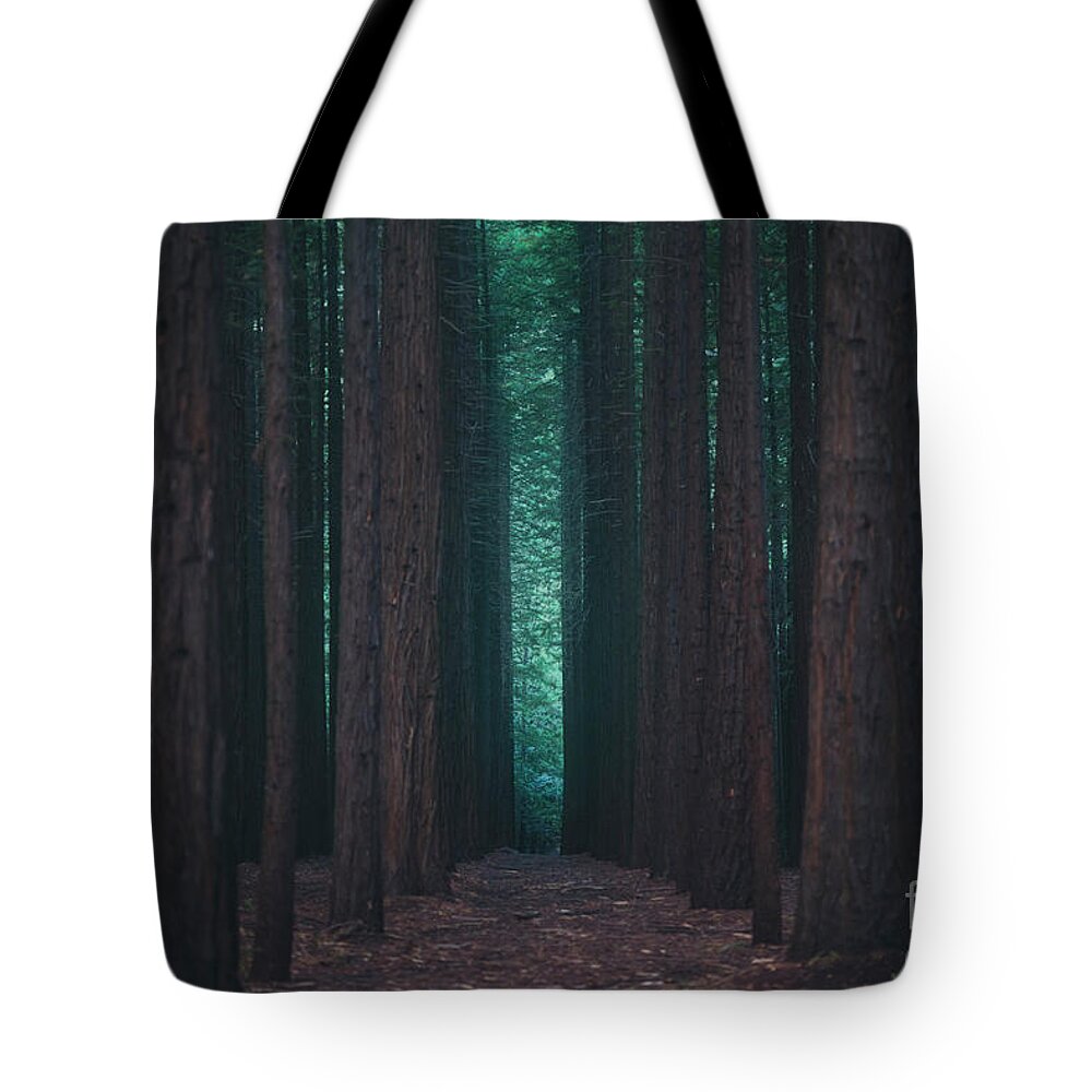 Forest Tote Bag featuring the photograph Sequoia Redwood Forest 9821 by Organic Synthesis