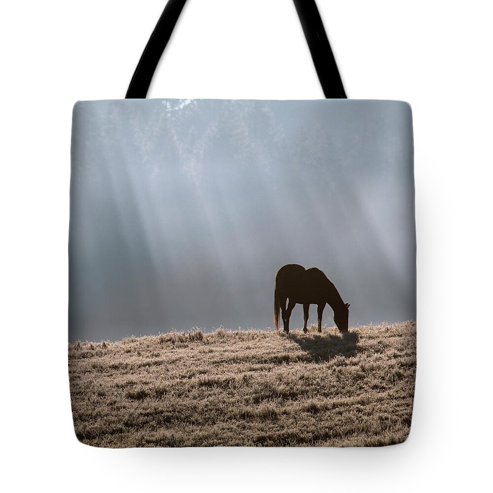 Horse Tote Bag featuring the photograph Serenity 1 by Catherine Avilez