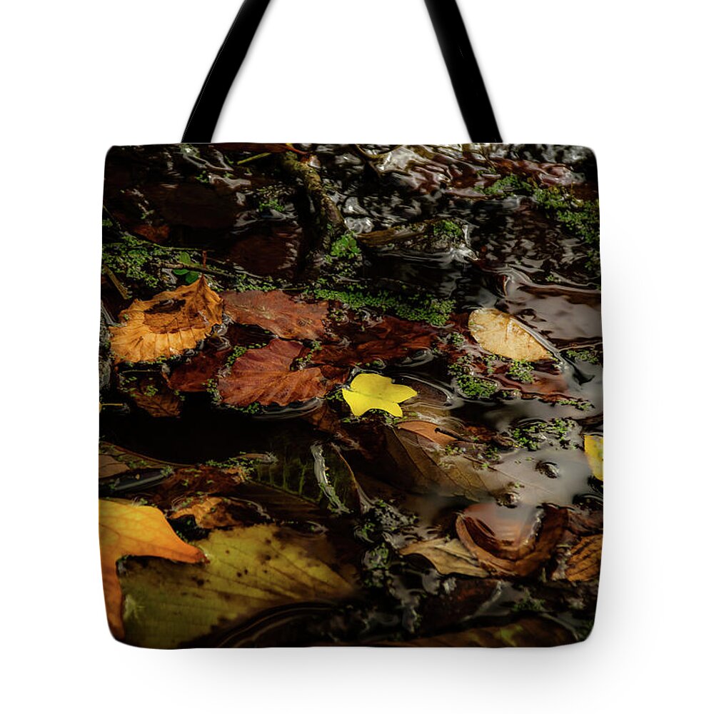 Tree Tote Bag featuring the photograph Serenity upon an Autumn Pond by Christopher Maxum