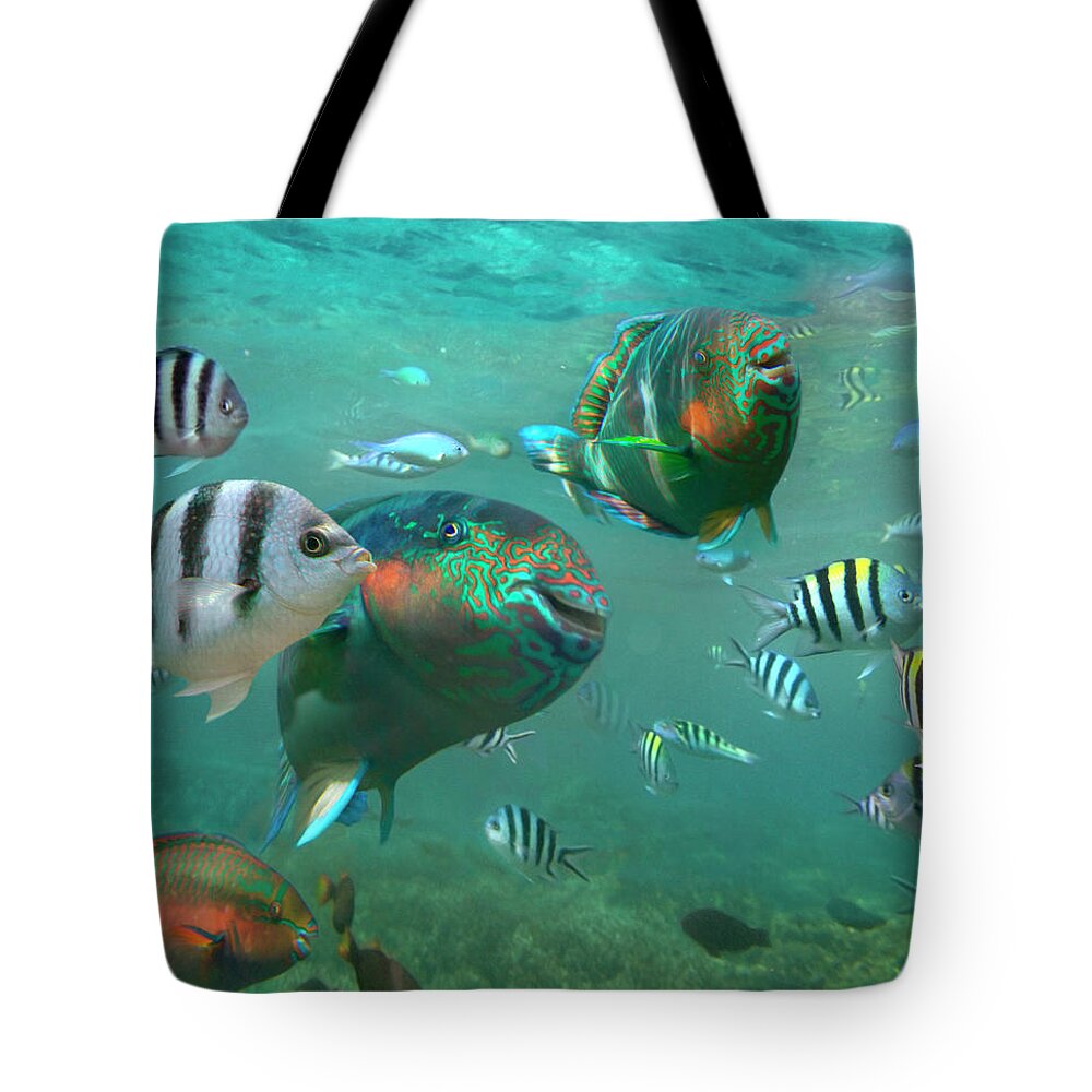 00586454 Tote Bag featuring the photograph Sergeant Major Damselfish And Parrotfish, Negros Oriental, Philippines by Tim Fitzharris