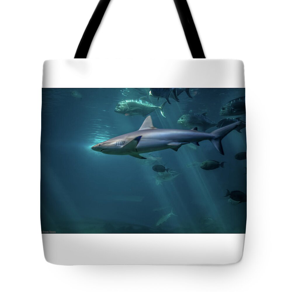 Hawaii Tote Bag featuring the photograph Shark Attack by G Lamar Yancy