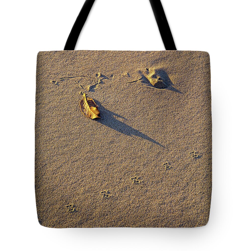 Dunes Tote Bag featuring the photograph Shadow and Tracks by Robert Potts
