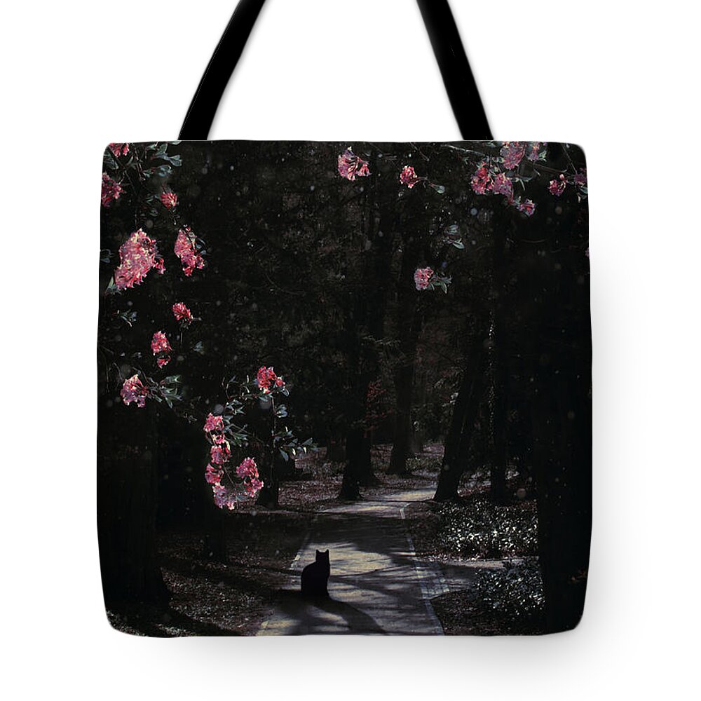 Cat Tote Bag featuring the digital art Shadow cat by Cambion Art