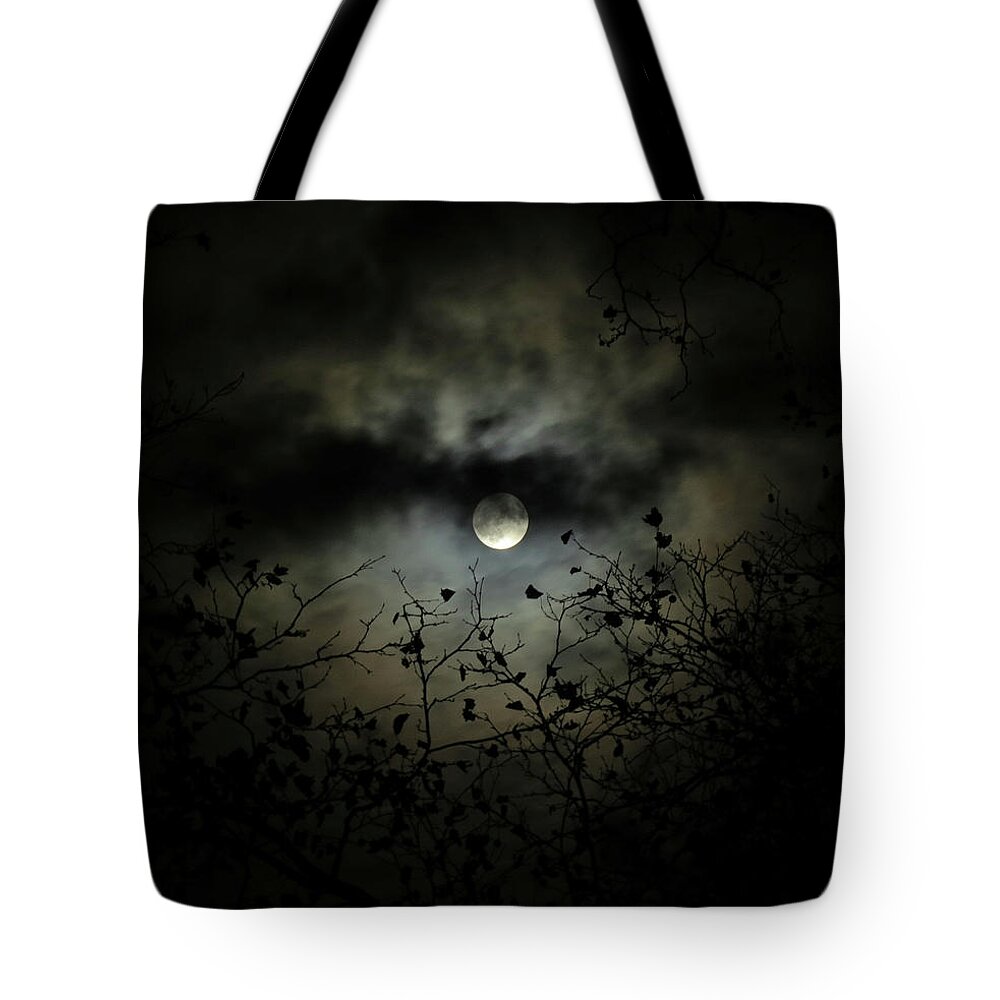 Night Sky Tote Bag featuring the photograph Shadow Moon by Linda Stern