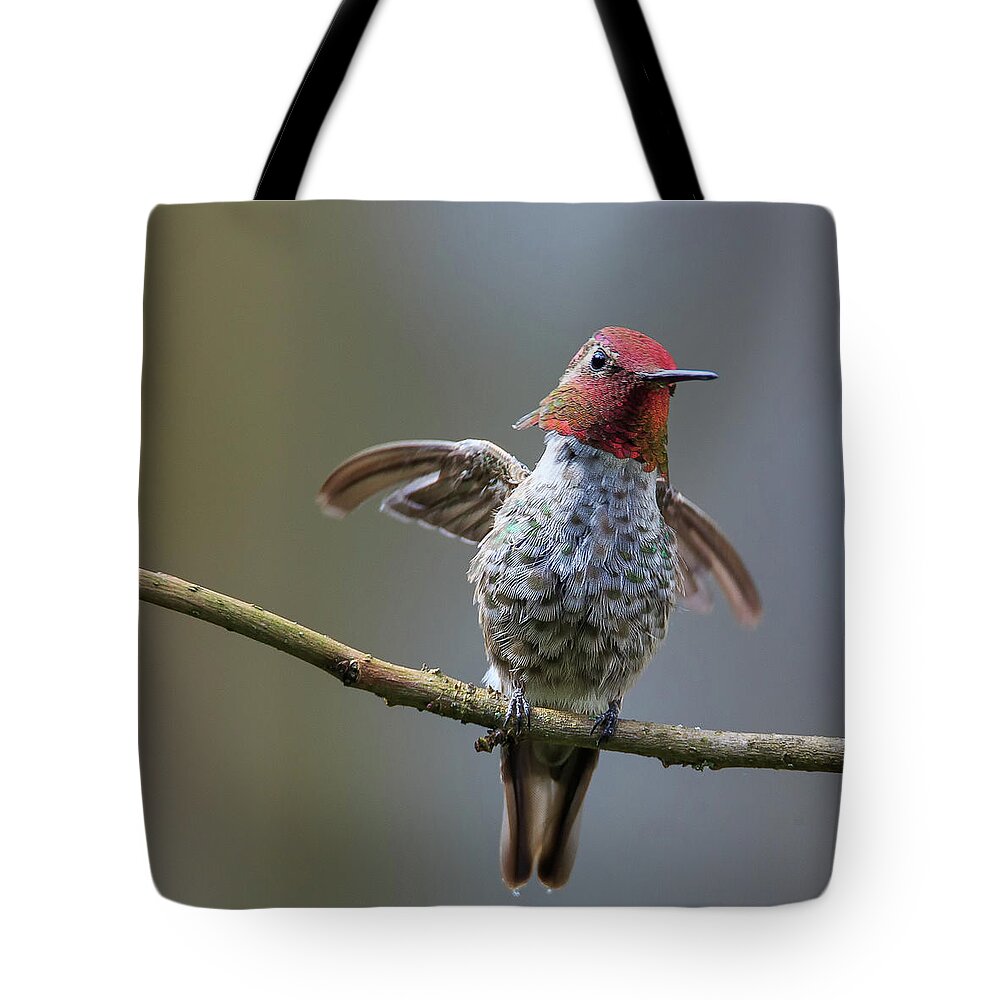 Animal Tote Bag featuring the photograph Shake It Off by Briand Sanderson