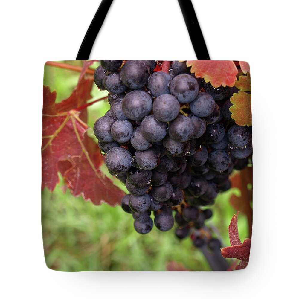 Grapes Tote Bag featuring the photograph Shalestone - 1 by Jeffrey Peterson