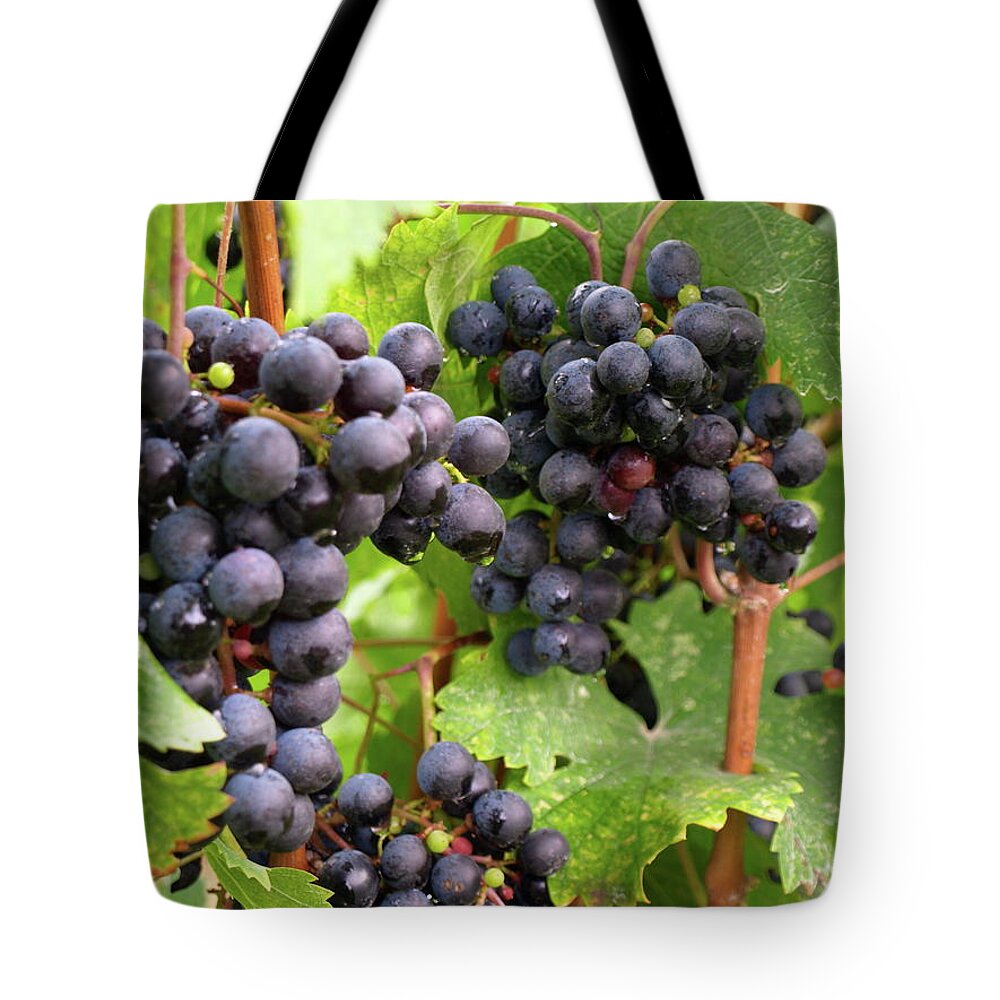 Grapes Tote Bag featuring the photograph Shalestone - 13 by Jeffrey Peterson