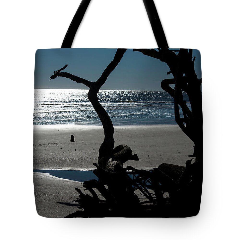Moon Tote Bag featuring the photograph Shall We Dance by Valerie Cason