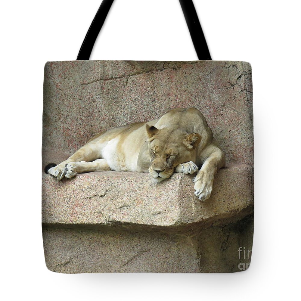 Female Tote Bag featuring the photograph She Lion by Mary Mikawoz