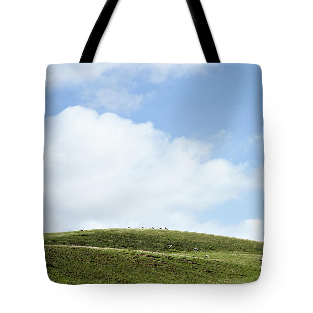 Free Range Tote Bag featuring the photograph Sheep Grazing On Hill Pastures by Nicolasmccomber