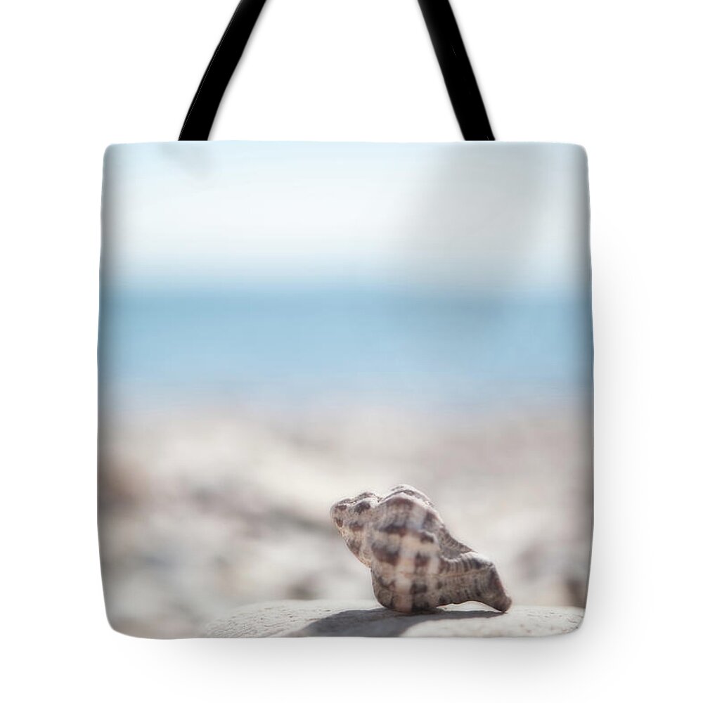 Tranquility Tote Bag featuring the photograph Shell On Pebble Beach by Alexandre Fp