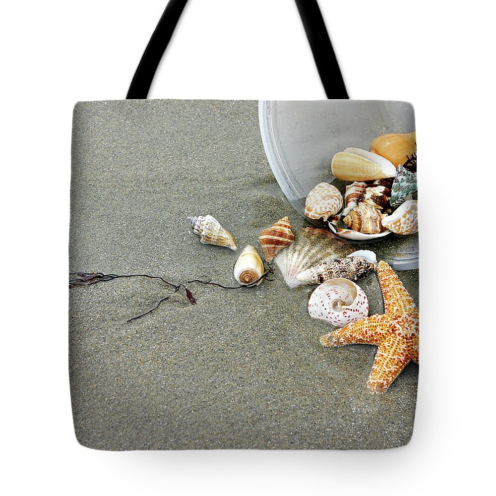 Water's Edge Tote Bag featuring the photograph Shells by Blackwaterimages