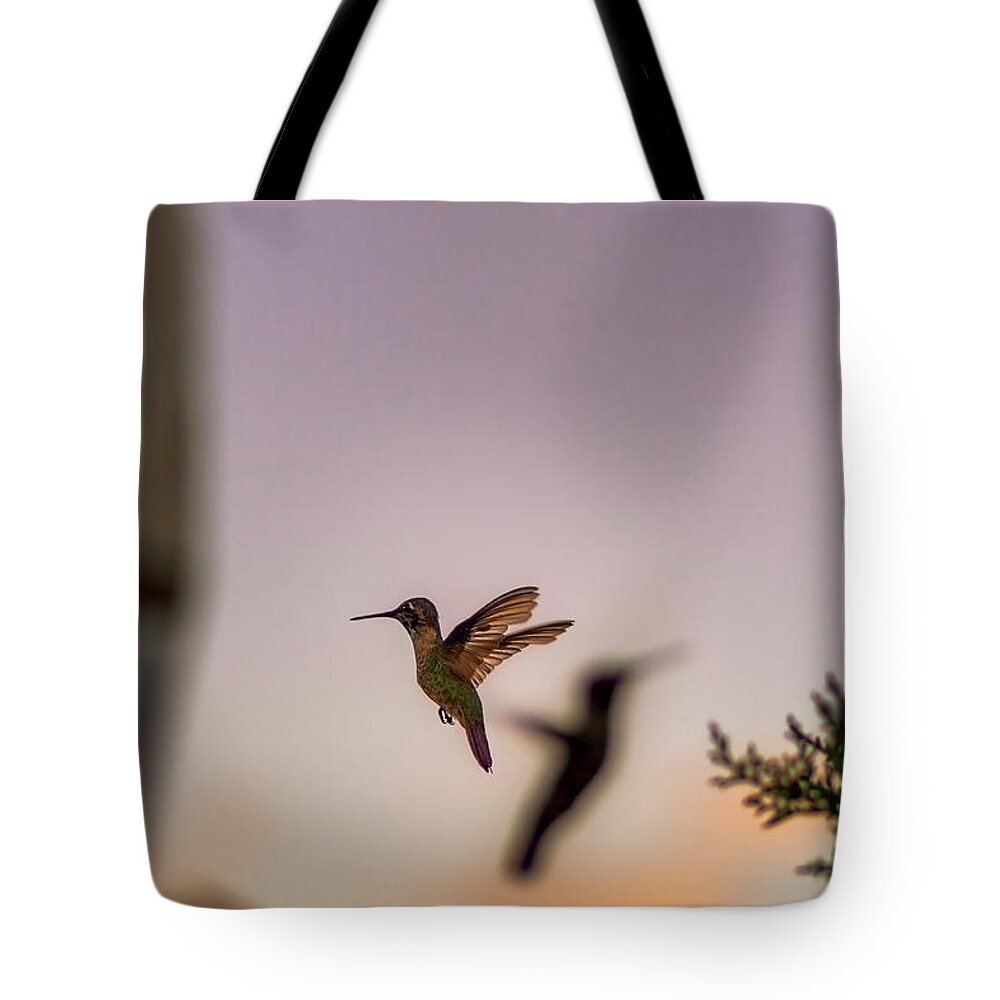 Hummingbird Tote Bag featuring the photograph Shift Change by Peter Hull