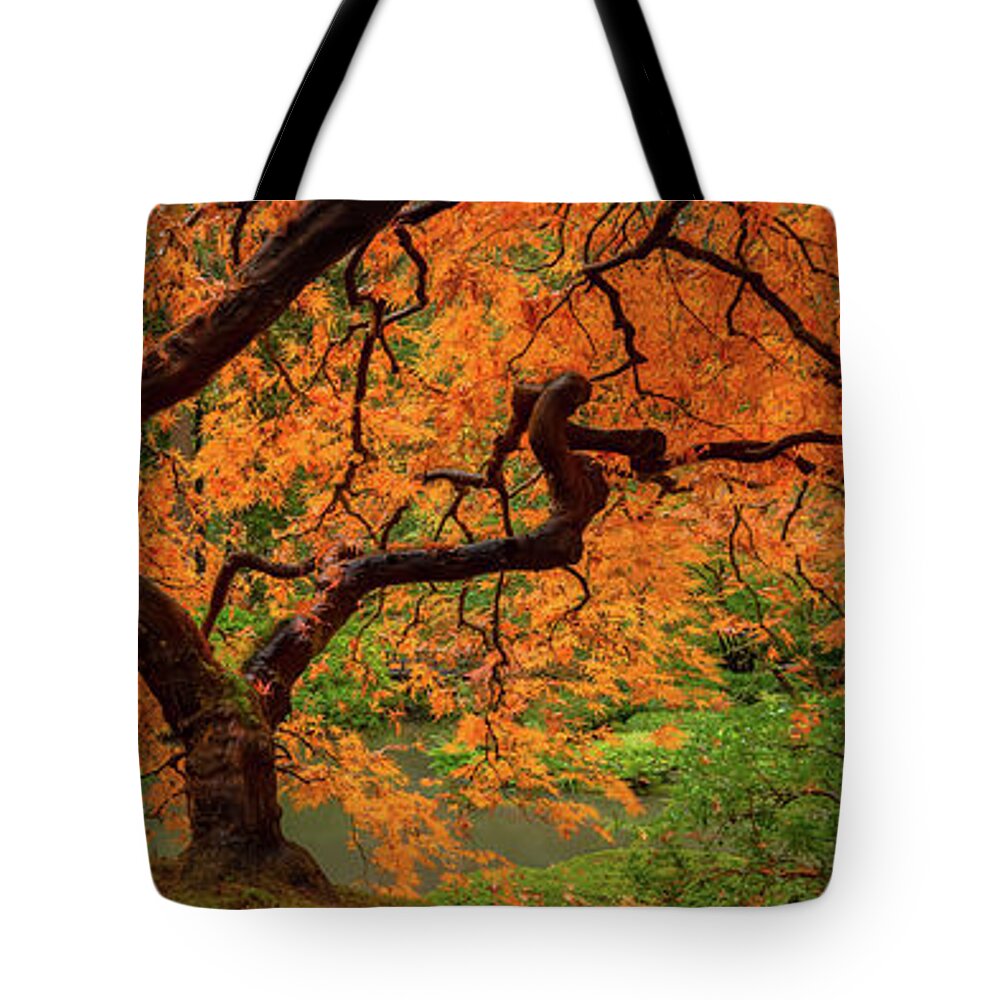 Autumn Colors Tote Bag featuring the photograph Shimmering by Don Schwartz