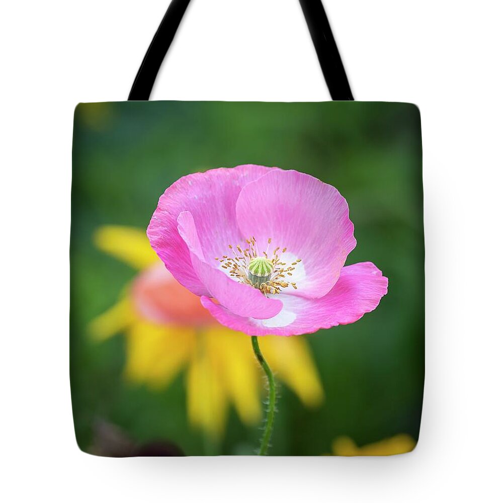 Shirley Poppy Tote Bag featuring the photograph Shirley Poppy 2019-6 by Thomas Young